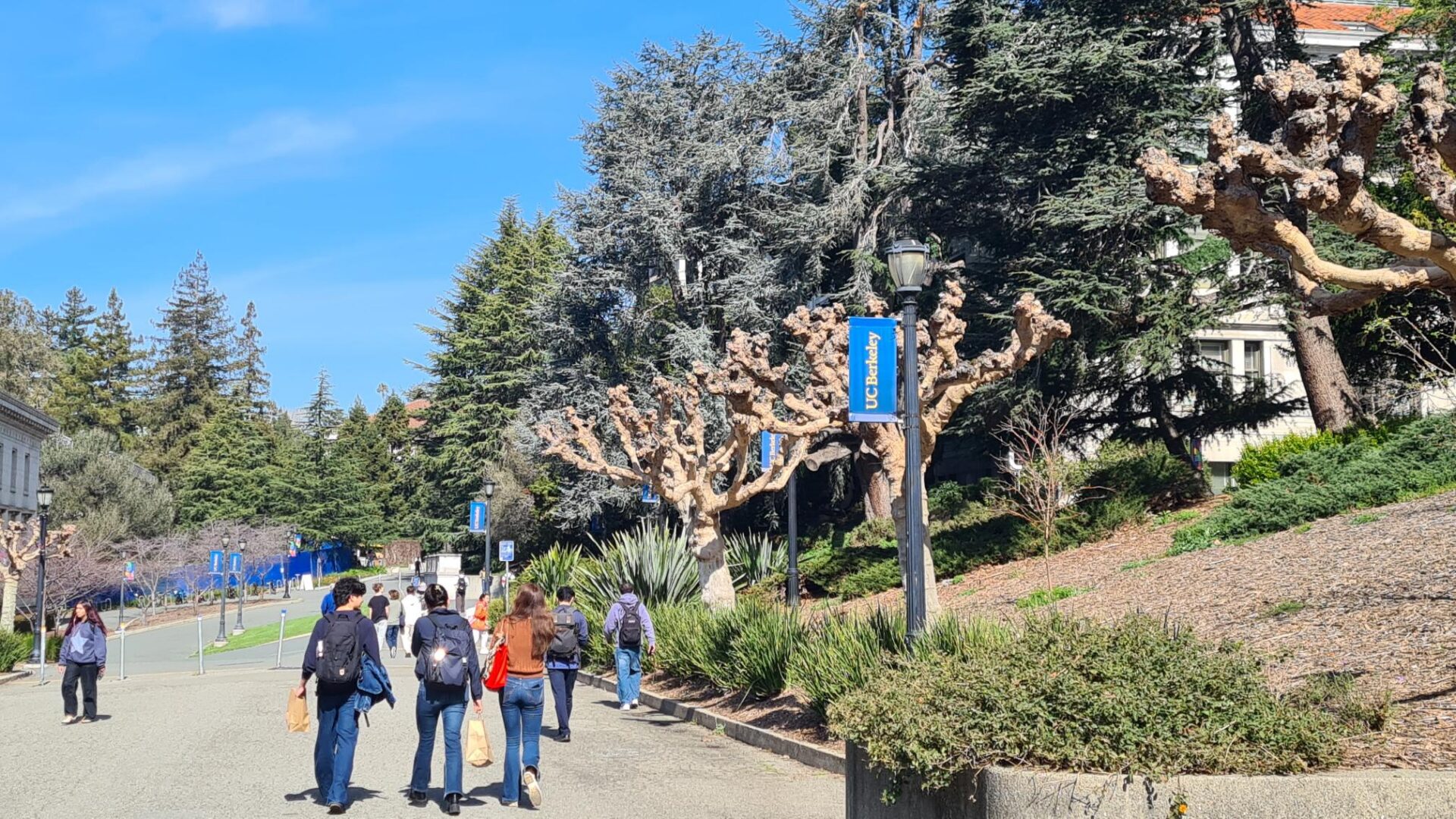 Meeting Dr Ingrid Ockert